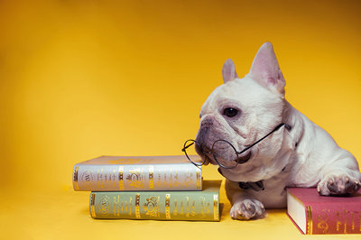 東北電力大學(xué)在職研究生學(xué)費(fèi)學(xué)制詳解！